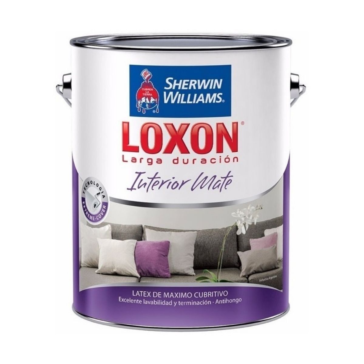 Latex para Interior Blanco Mate 10 L LD Loxon